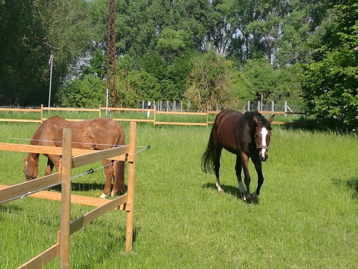 Ferienpark Aparthotel Seeland Schadeleben Eksteriør billede